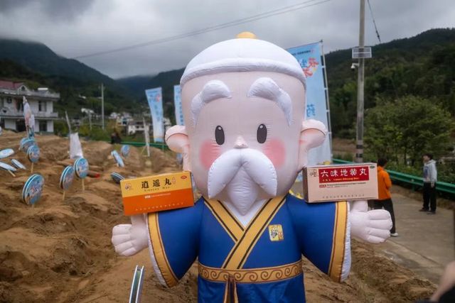 的时光淬炼与仲景宛西制药的品质坚守凯发首页登录厚土生白玉 一味茯苓(图1)