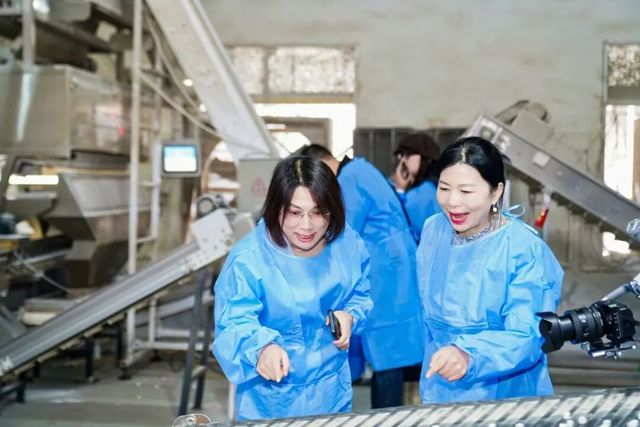 的时光淬炼与仲景宛西制药的品质坚守凯发首页登录厚土生白玉 一味茯苓(图4)