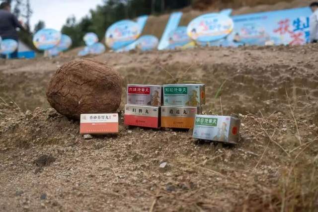 的时光淬炼与仲景宛西制药的品质坚守凯发首页登录厚土生白玉 一味茯苓(图6)