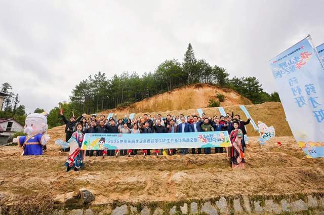 的时光淬炼与仲景宛西制药的品质坚守凯发首页登录厚土生白玉 一味茯苓(图10)